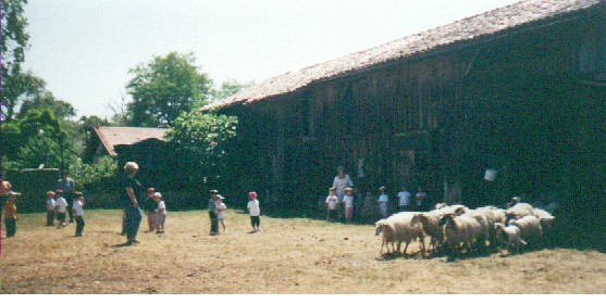 sortie de bergerie